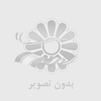 رنگ چوب ترمو